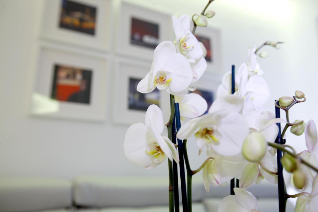 Plaza Mayor Suite مدريد المظهر الخارجي الصورة